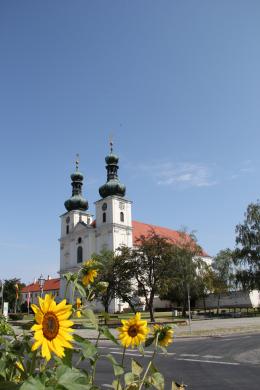 Basilika Frauenkirchen mit Sonnenblumen